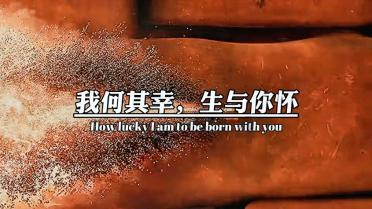 小猫钓鱼开船版最新版下载