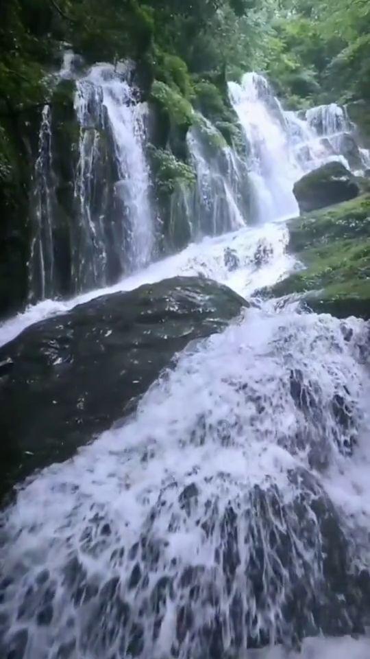 88影视